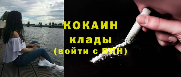 мдпв Осинники