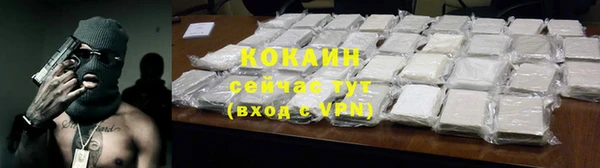 соль ск Всеволожск