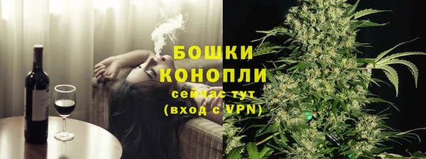 мдпв Осинники