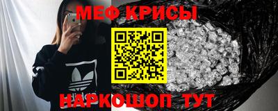 дмт Кингисепп