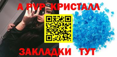 дмт Кингисепп