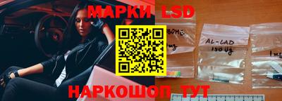 дмт Кингисепп