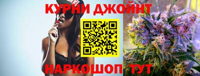 дмт Кингисепп