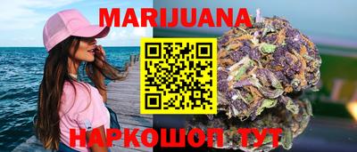 дмт Кингисепп