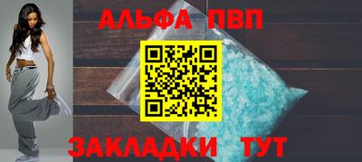 дмт Кингисепп