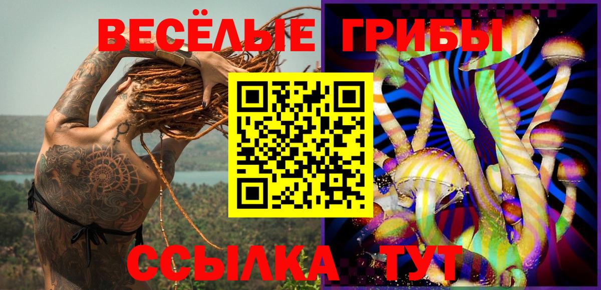 Балтийск  Псилоцибиновые грибы MAGIC MUSHROOMS  Вход с VPN 