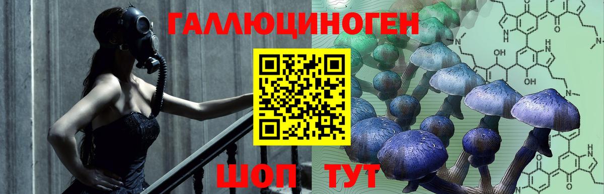 Галлюциногенные грибы Cubensis Балтийск